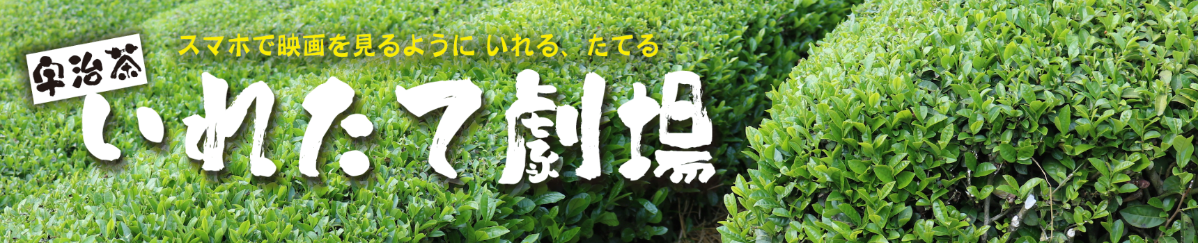 いれたて劇場TOP